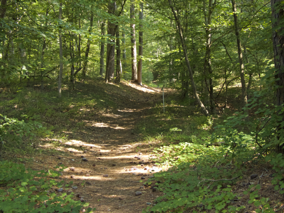 Entrance to the Ridge Trail, Kitty Hawk Woods.