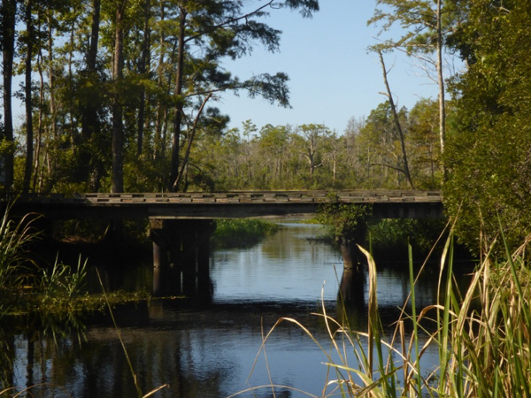 Abandoned railroad bridge over Mill Tail Creek, Alligator River National Wildlife Refuge.