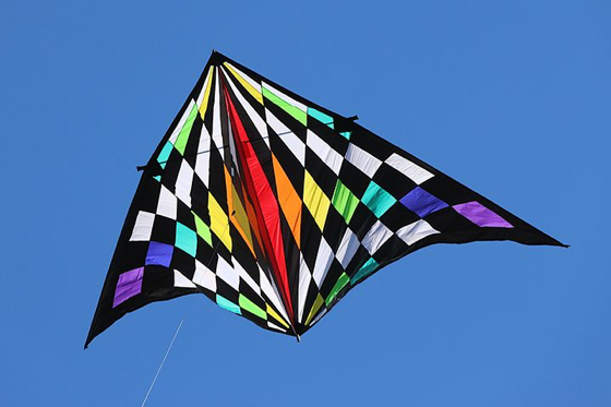 19' Teknacolor Delta Kite by Prism Kites.