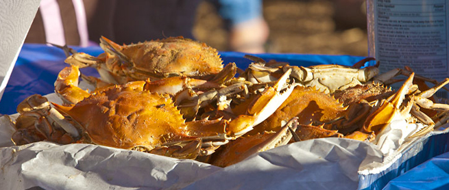 outer-banks-seafood-festival-crabs