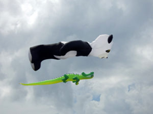 Decorating the sky with a giant panda and alligator.