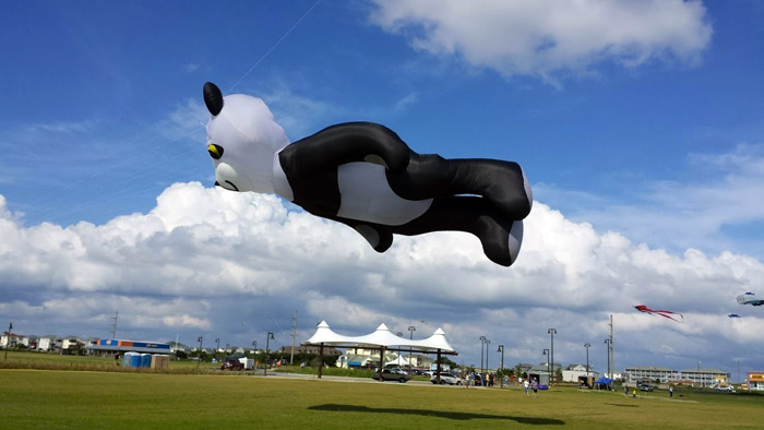 _panda-kite-obx-stunt-kite-competition