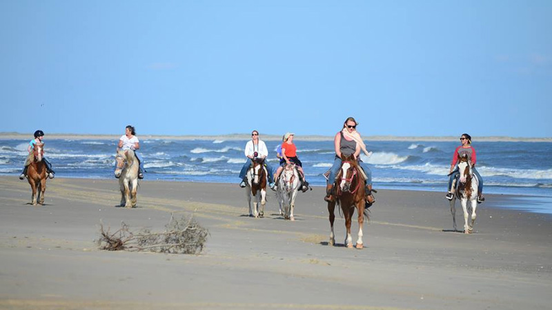 beach-horseback-riding-outer-banks-nc