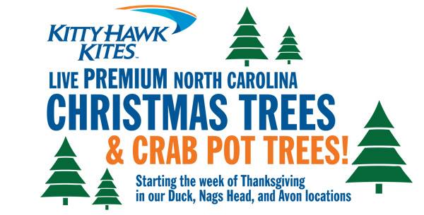 christmas-trees-for-sale-outer-banks