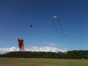 Wright kite festival