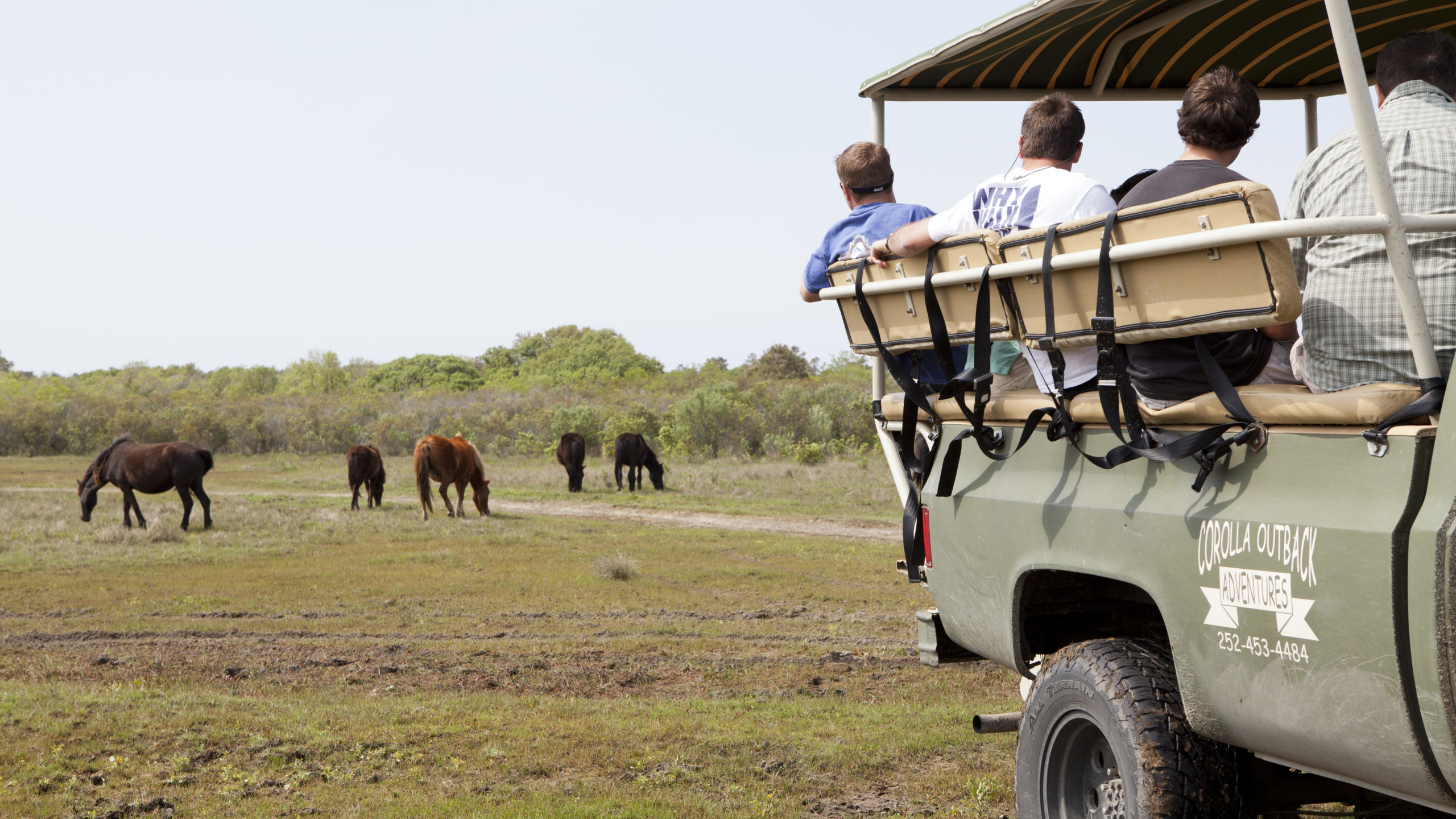 khk_wild_horse_tour_025 Kitty Hawk Kites Blog
