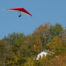 Hang gliding over the tree tops