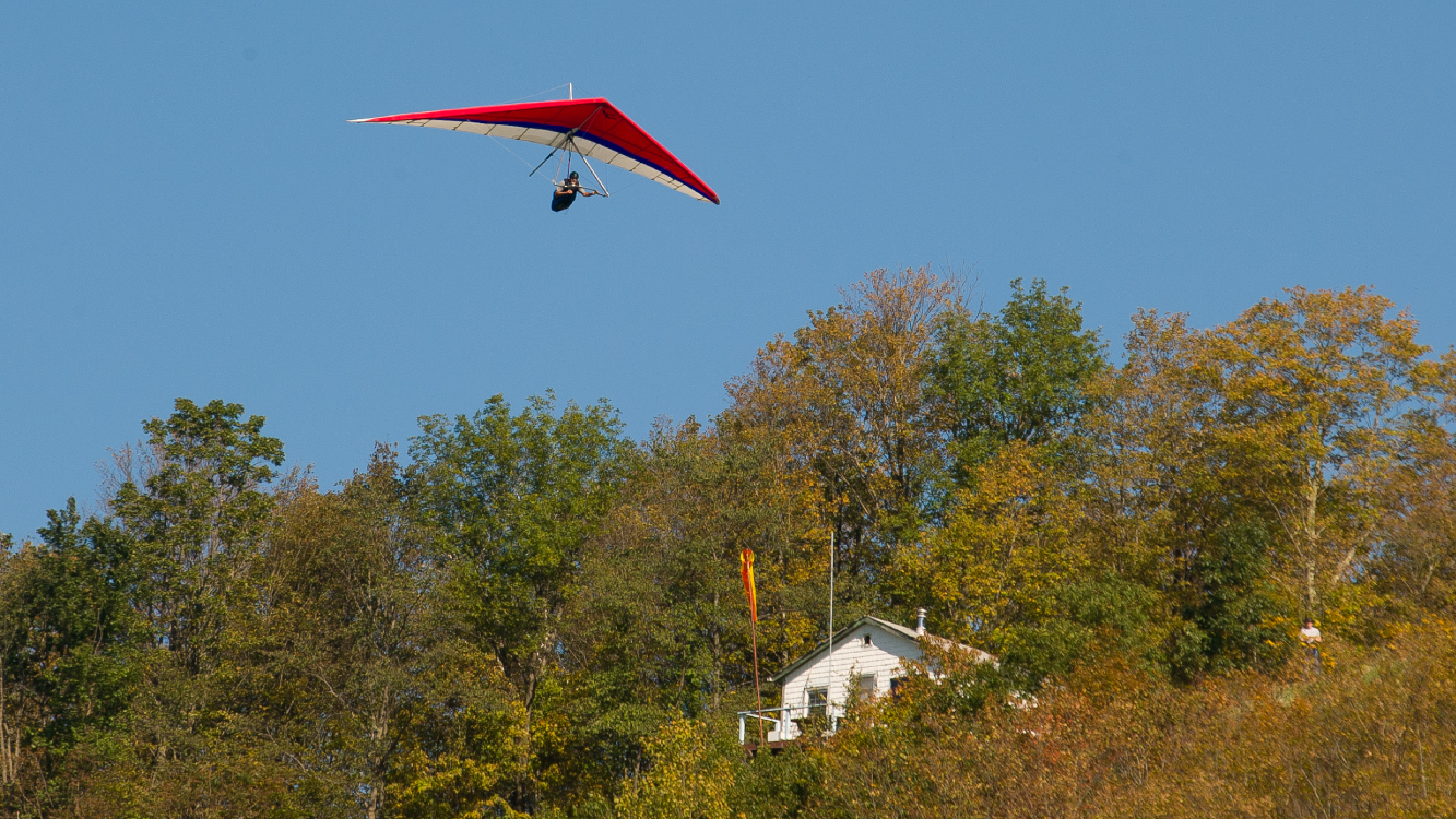 Hang gliding over the tree tops
