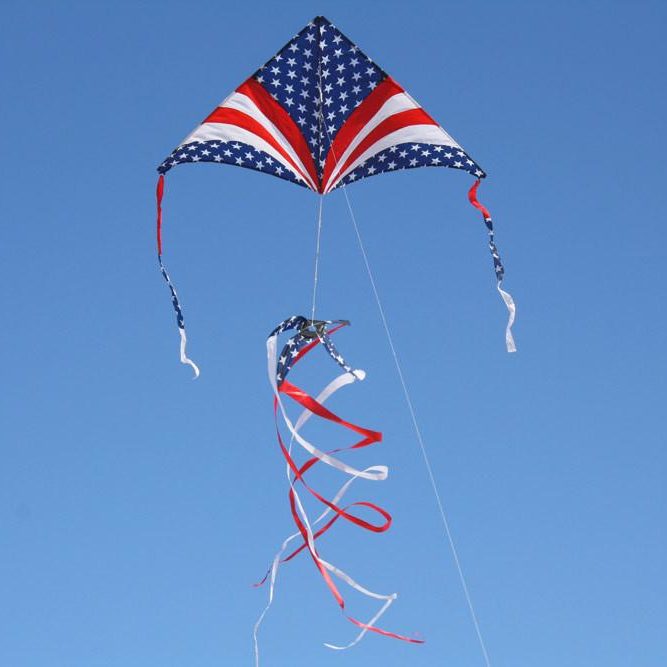 Patriotic sky delta kite