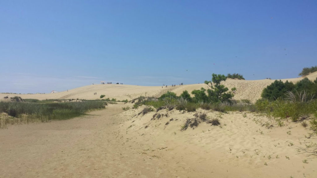 Sandboarding at Jockey's Ridge State Park Kitty Hawk Kites