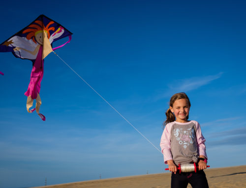 Best Types of Kites For Kids and Children