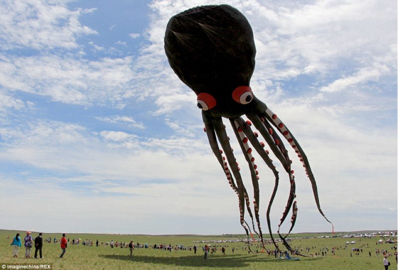 The World's Largest Kite Kitty Hawk Kites