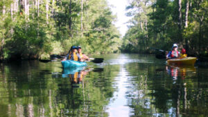 kayaking-outer-banks-nc