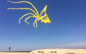 A giant octopus show kite flying in the air