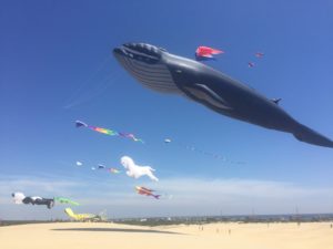 Show kites at the Rogallo Kite Festival