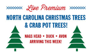North Carolina Christmas Trees & Crab Pot Trees!