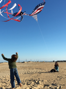Rachel's Kite