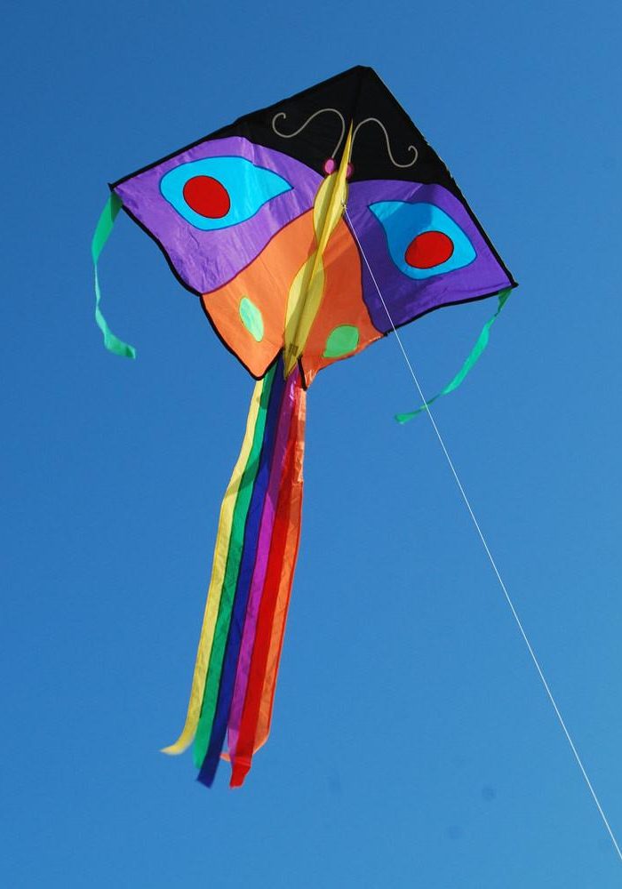 single line butterfly kite