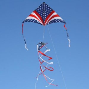 patriotic festival sky delta kite package