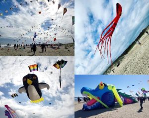 Cape Fear kite collage made up of show kites, and large aerial displays