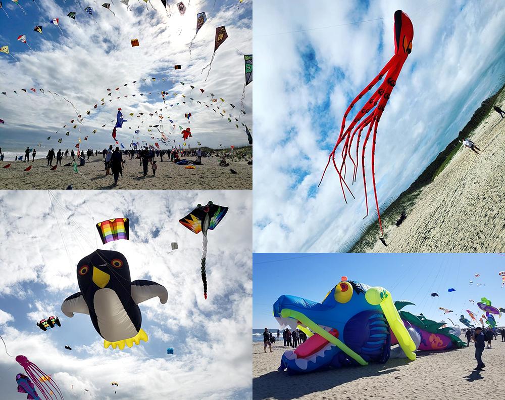collage of kites at the Cape Fear kite festival