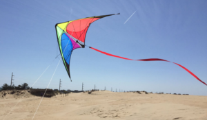 dual line kite flying at jockeys ridge state park