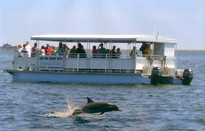 Nags Head Dolphin Watch dolphin tour pontoon boat