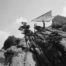 John Harris hang gliding at Grandfather Mountain