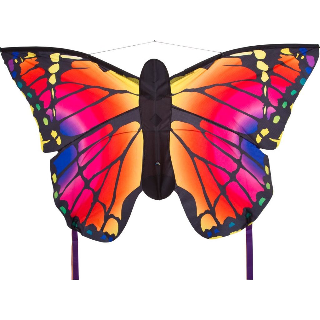 ruby butterfly kite for kids