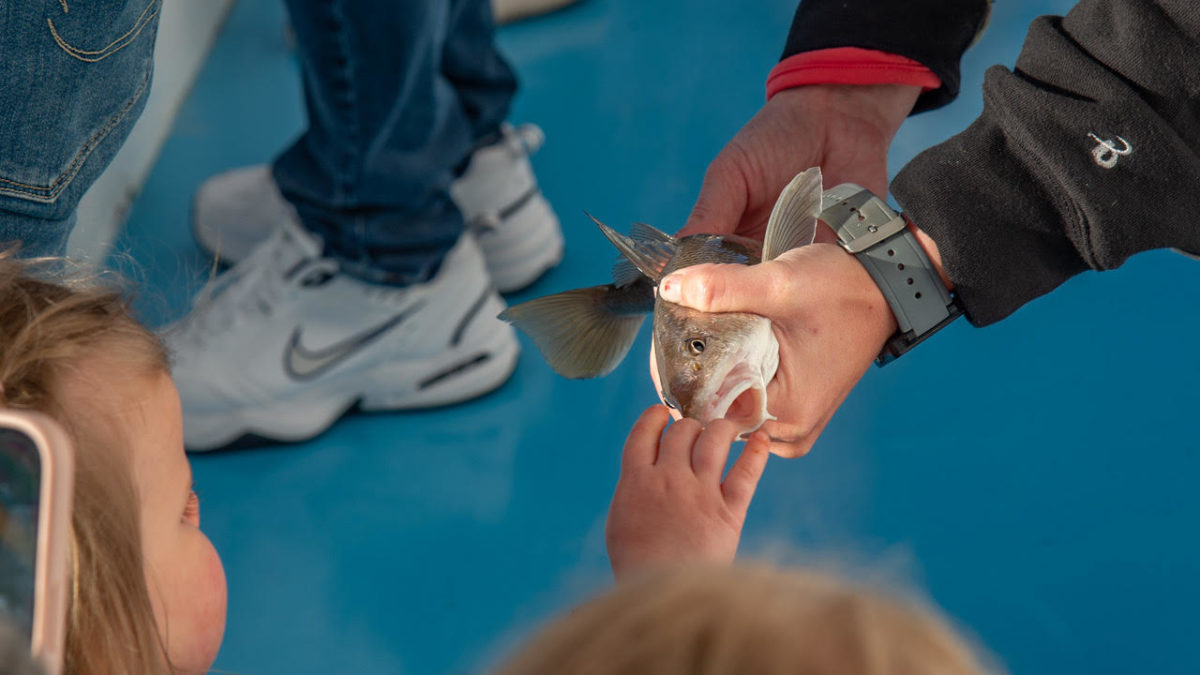 fishing Archives Kitty Hawk Kites Blog