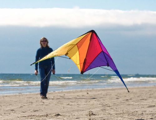How to Fly a Stunt Kite