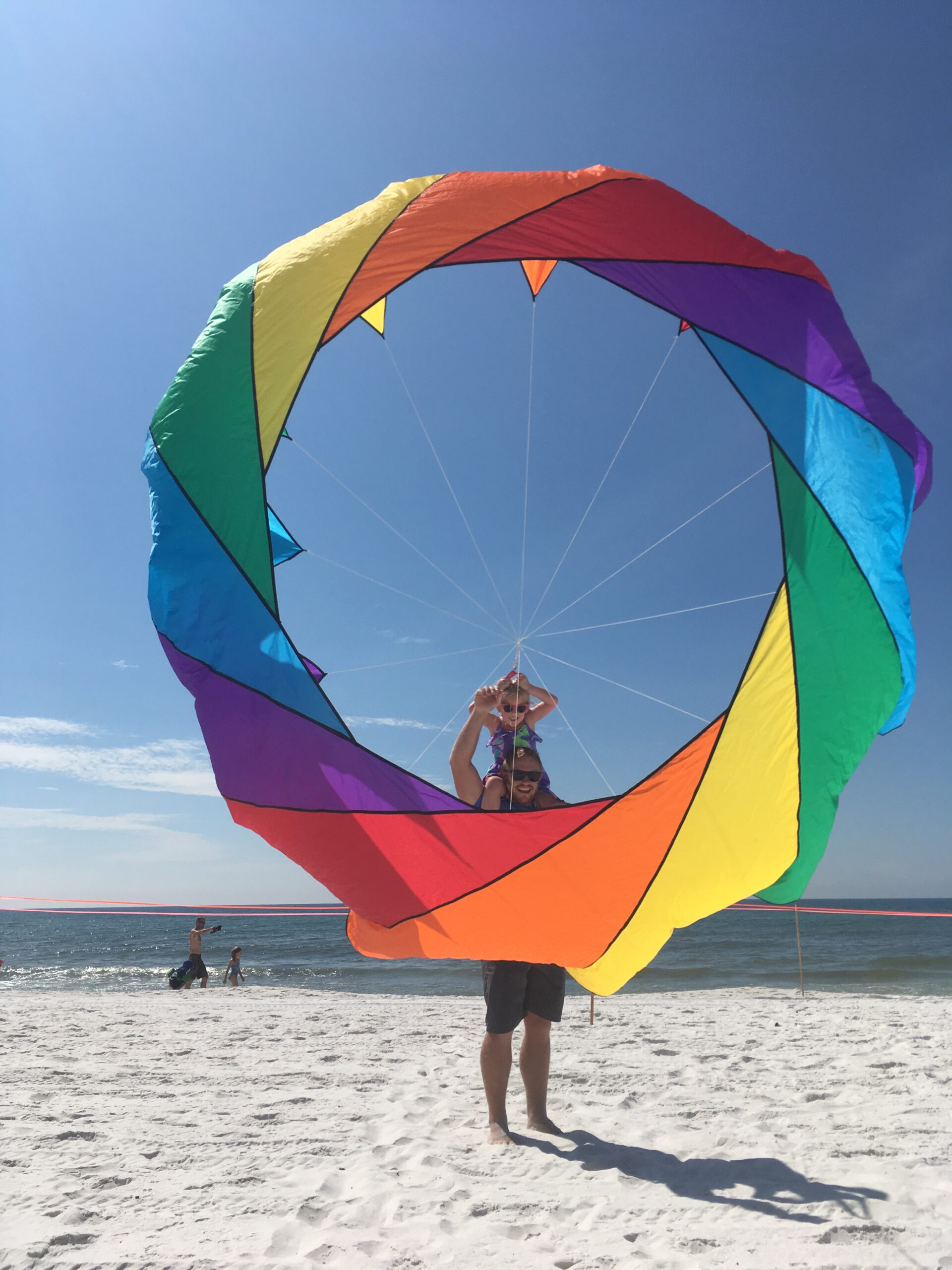 HQ Beach and Fun Sport Kite - Airplane Replica - Kitty Hawk Flyer - 46 Inch  Single - Line Kite- Active Outdoor Fun for Ages 8 and Up