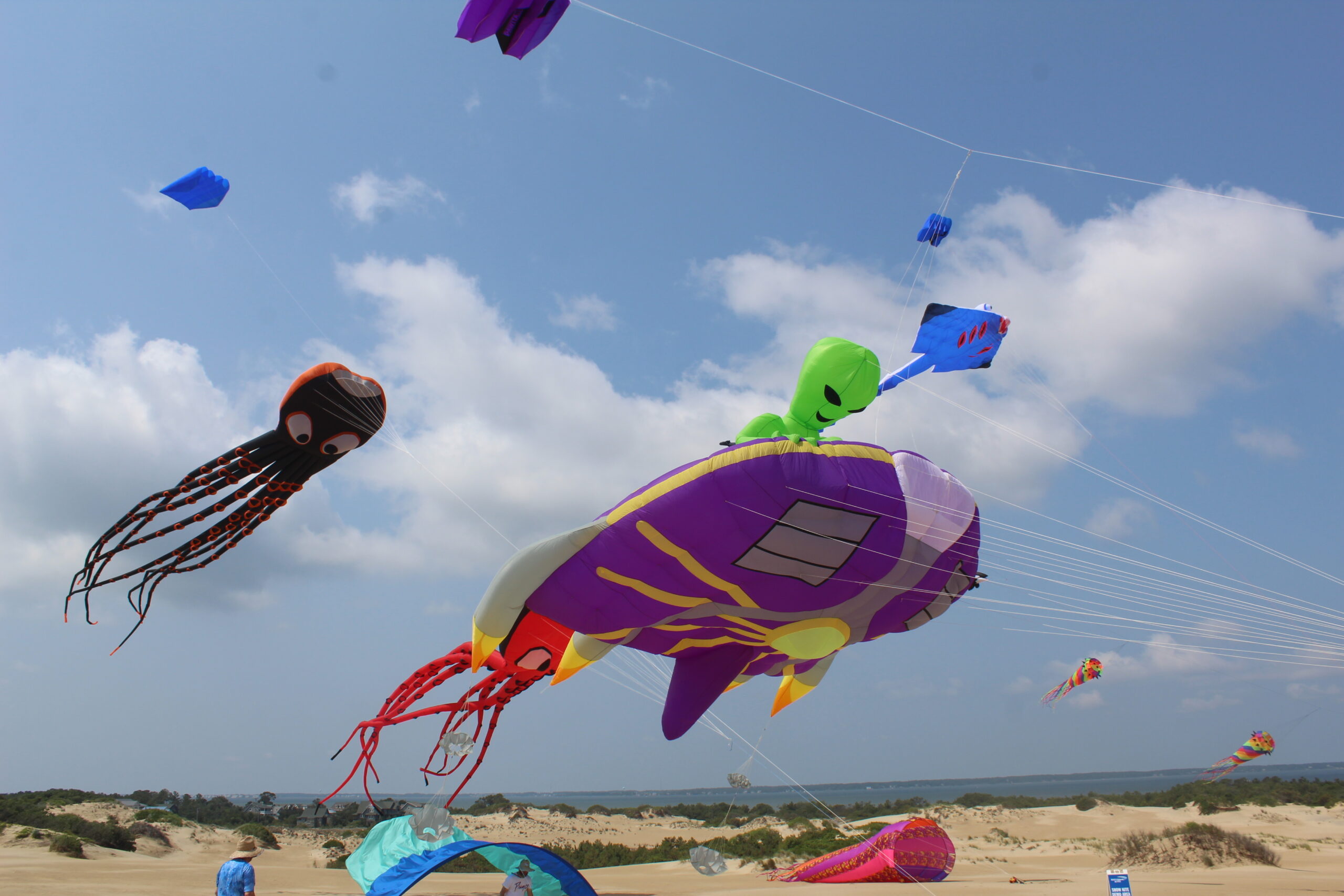 Kite flying at Jockey's Ridge State Park