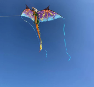 3-D dragon kite