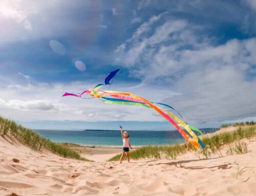 The Best Kites for Beginners