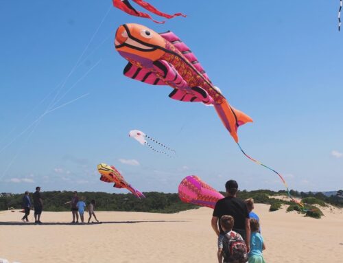 Discover Free & Low-Cost Things to Do in the Outer Banks