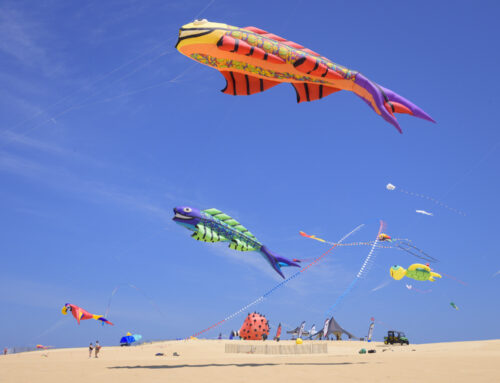 Things to Do in Nags Head, North Carolina: Family Fun, Festivals & More