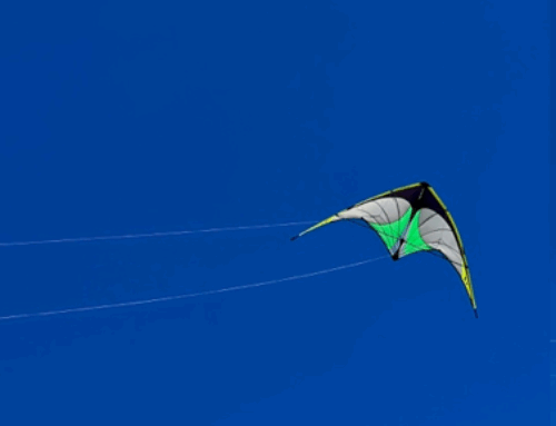 Stunt Kites 101: Learning the Lines at Jockey’s Ridge