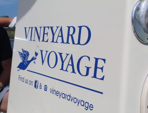 Ship to Sip: A Sunset Journey to Sanctuary Vineyards
