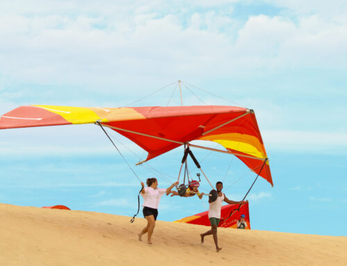 What to Book for Your Outer Banks Vacation: Activities, Tours & Experiences